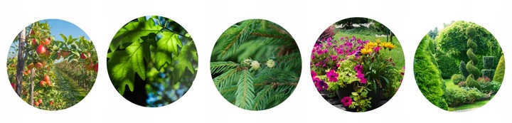 SEKATOR DO GAŁĘZI I KRZEWÓW OGRODOWY SHARK G2 RĘCZNY NOŻYCOWY 20,5 cm lekki