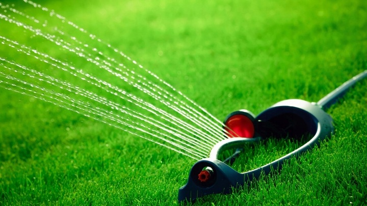 Chwastox COMPLEX 260 EW 1L chwasty trawniki boiska