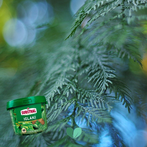 NAWÓZ DO IGLAKA 100DNI 5KG SUBSTRAL