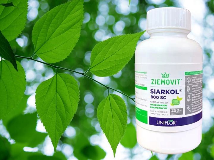 SIARKOL 800 SC SIARKA ŚRODEK GRZYBOBÓJCZY NA MĄCZNIAKA PRAWDZIWEGO 250ML