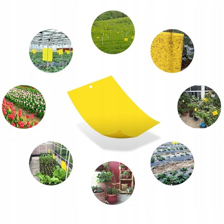 ŻÓŁTE TABLICE LEPOWE LEP NA NASIONNICĘ TRZEŚNIÓWKĘ DRZEWKA OWOCOWE A4