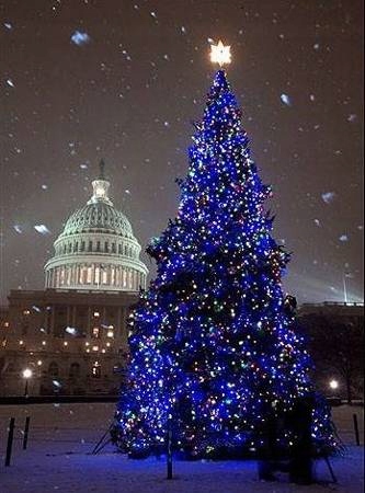 LAMPKI CHOINKOWE 500LED NIEBIESKIE + FLASH FLESZ BŁYSK 35M ZEW/WEW ISKRZĄCE