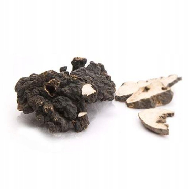 MycoMedica Polyporus żagiew wielogłowa 90 kaps.