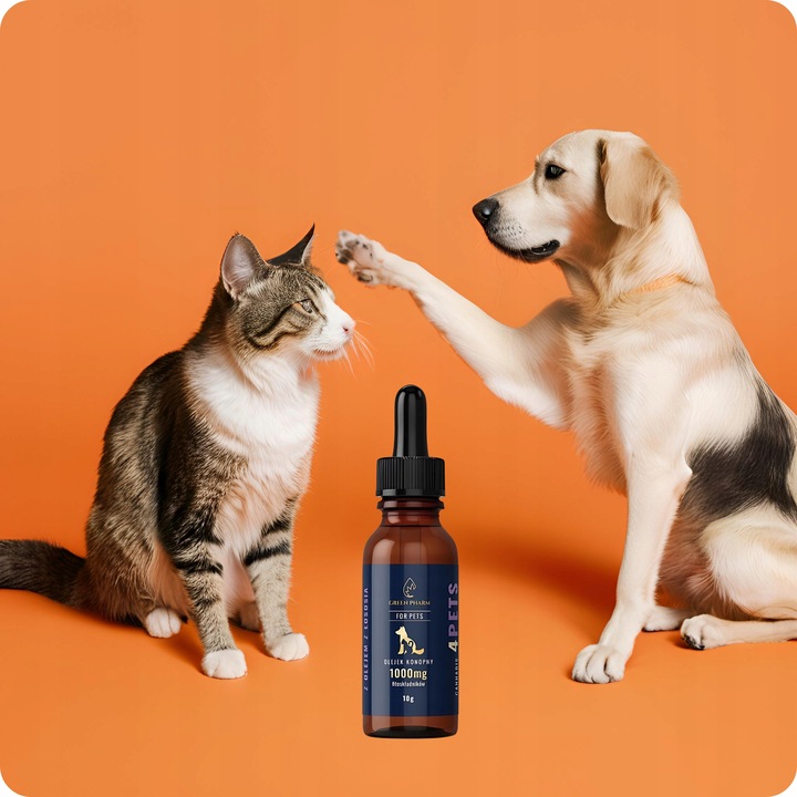 Olejek Konopny CBD 10% | Dla Psa 1000mg 11ml | Weterynaryjny | Bez THC