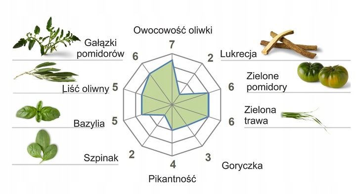 Casas de Hualdo Oliwa Picual Extra Virgin-20/1