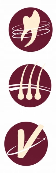 TROPIDOG Beef 12kg dorosłe psy średnich dużych ras wołowina Medium Large