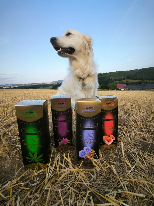 VITAR Veterinae Olej z Ostropestu 1000 ml -bogate źródło witaminy E+Omega 3