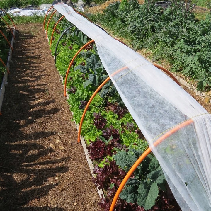 Agrowłóknina biała otulina okryciowa HEVA 1,6x50m 17g wiosenna zimowa UV2%