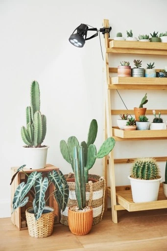 VERTICANA oprawa na klips z włącznikiem kablem 2m