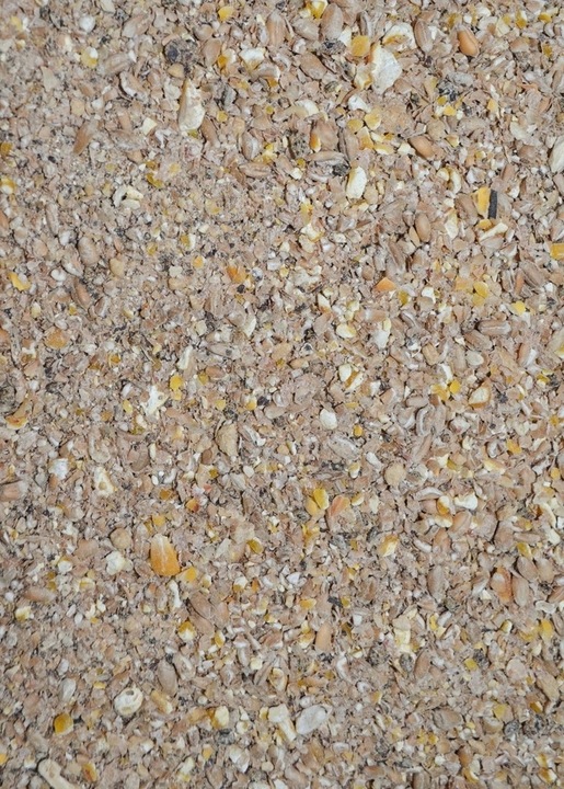 Pasza dla kur niosek WYSOKA NIEŚNOŚĆ sypka 25 kg Barbara