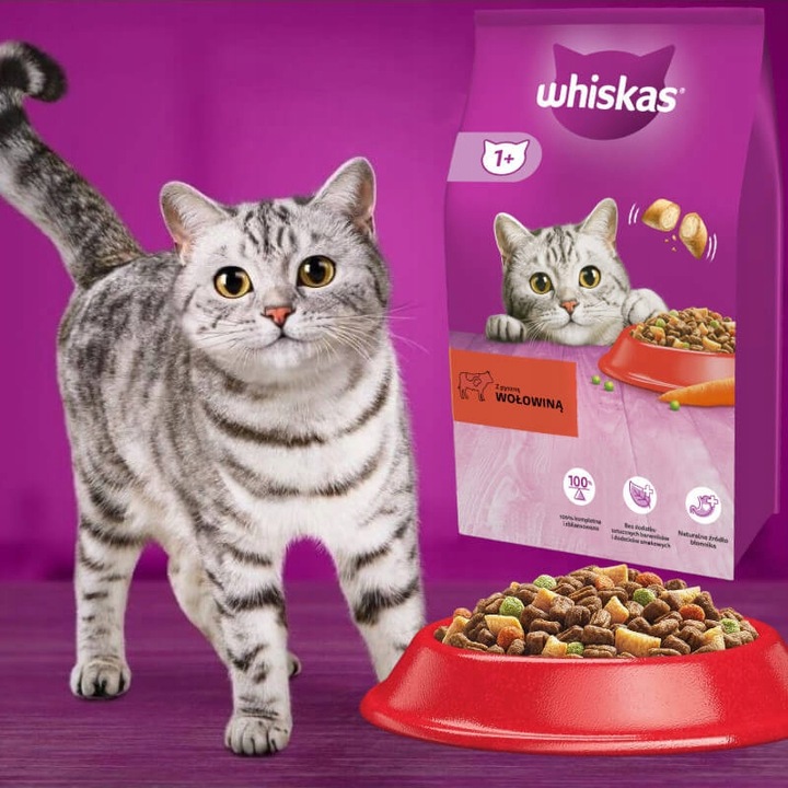 WHISKAS sucha karma dla kota z kurczakiem 14 kg