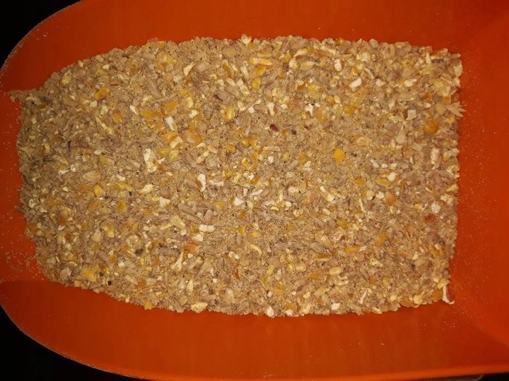 Pasza kura nioska TASOMIX Sypka 25 kg karma dla niosek WIEJSKI ZAKĄTEK