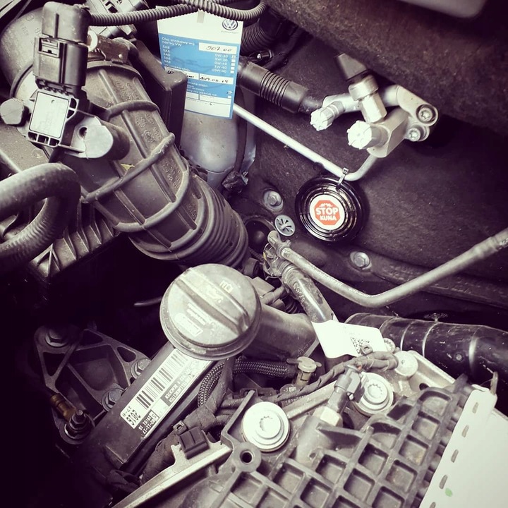 ODSTRASZACZ KUN SKUTECZNY NA ALLEGRO ŚRODEK NA KUNY DO SAMOCHODU