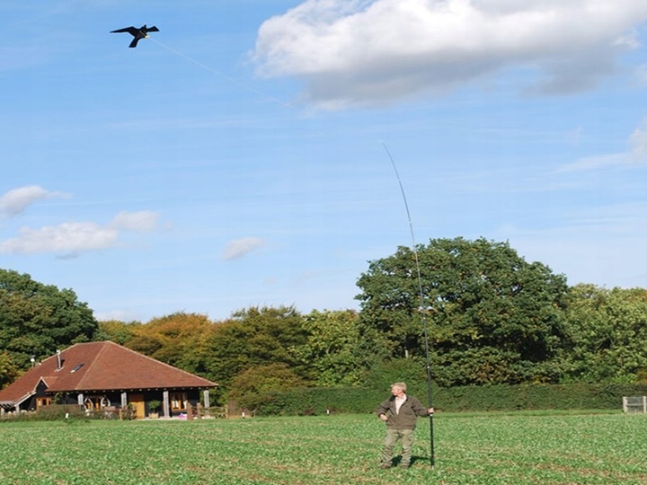 Odstraszacz Ptaków Duży Latawiec Jastrząb CH2
