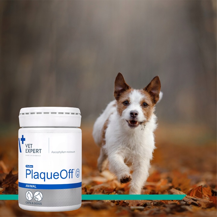 Proszek do ZĘBÓW preparat dla psów i kotów kamień VET EXPERT PLAQUE OFF 40g
