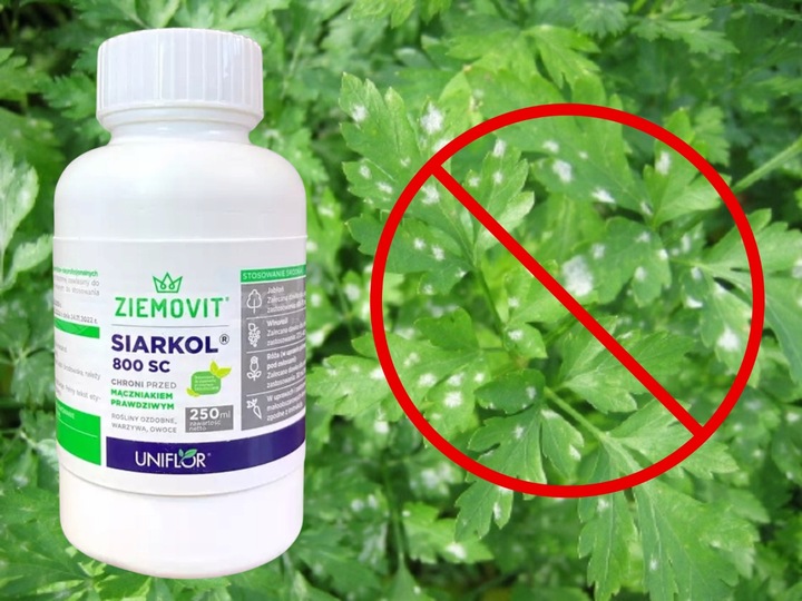 SIARKOL 800 SC SIARKA ŚRODEK GRZYBOBÓJCZY NA MĄCZNIAKA PRAWDZIWEGO 250ML