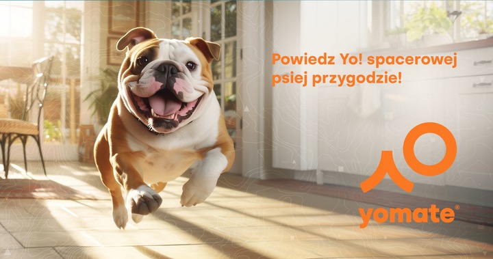 LEKKA SMYCZ AUTOMATYCZNA dla PSA - ZWIJANA / BLOKADA / TAŚMA / 5 METRÓW