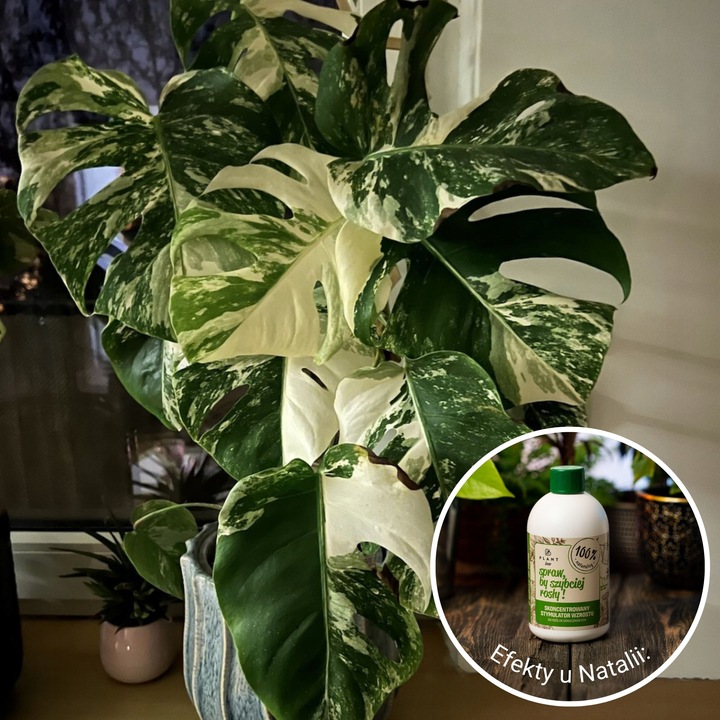 Spraw, by szybciej rosły 500 ml | Plant lover| stymulator wzrostu do roślin