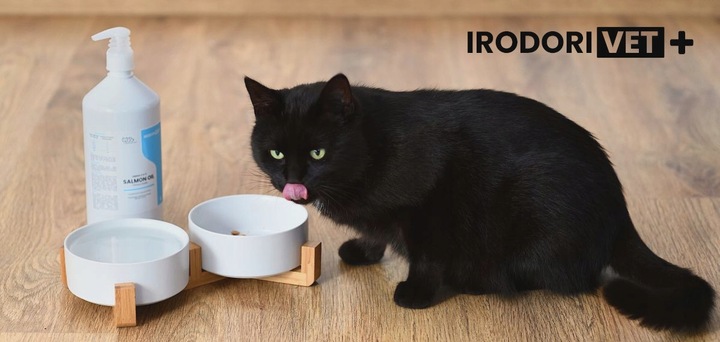 OLEJ SZKOCKI Z ŁOSOSIA DLA PSA I KOTA Salmon Oil Omega 3 Omega 6 1000 ml