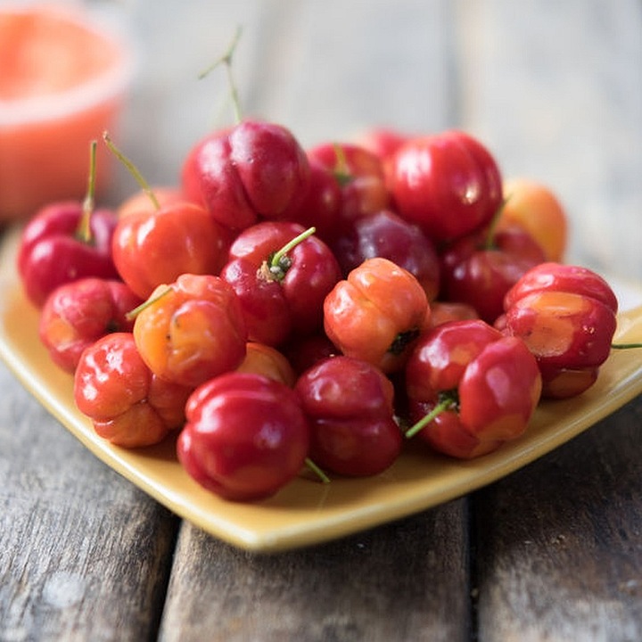 ACEROLA Naturalna Witamina C Proszek 500g