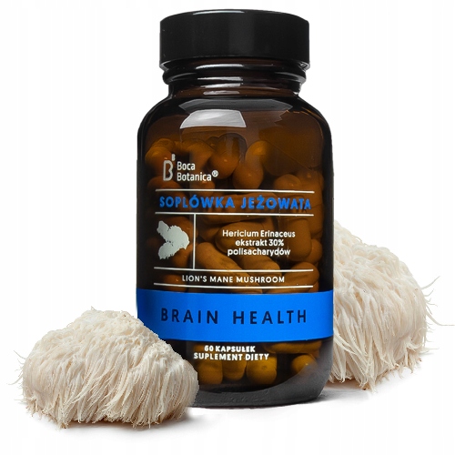Soplówka jeżowata ekstrakt 30% 500mg - Lion's Mane