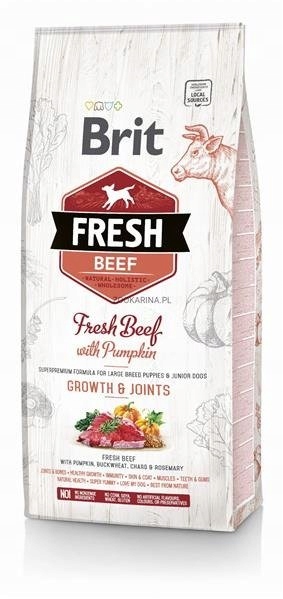 BRIT FRESH BEEF PUPPY LARGE 12KG