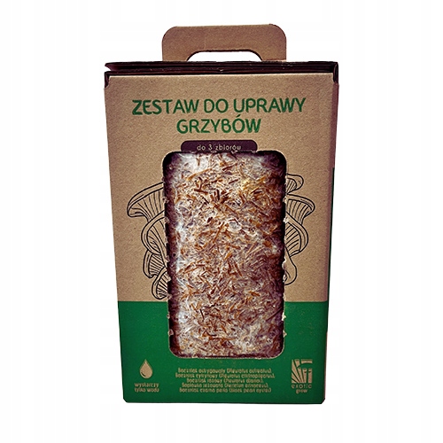 Soplówka Jeżowata MUSHROOMS GROW KIT grzybnia