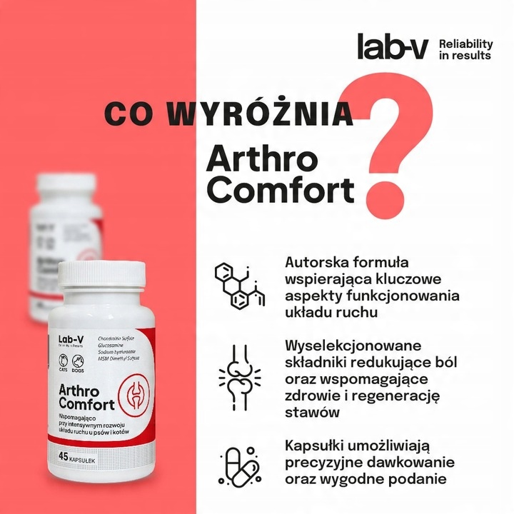 LAB-V Arthro Comfort wsparcie zdrowia stawów dla psów i kotów 90 kapsułek