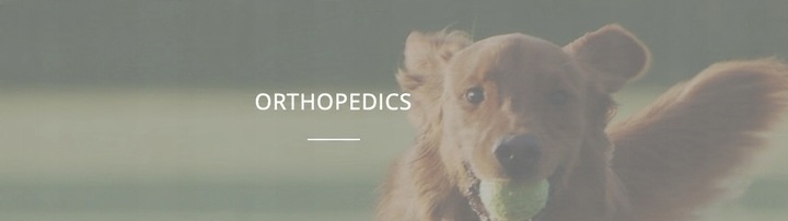 Artikrill Dol Cane 60 kaps NBF Lanes