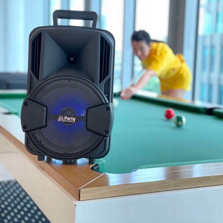 Kolumna BLUETOOTH KARAOKE MIKROFON STATYW PILOT