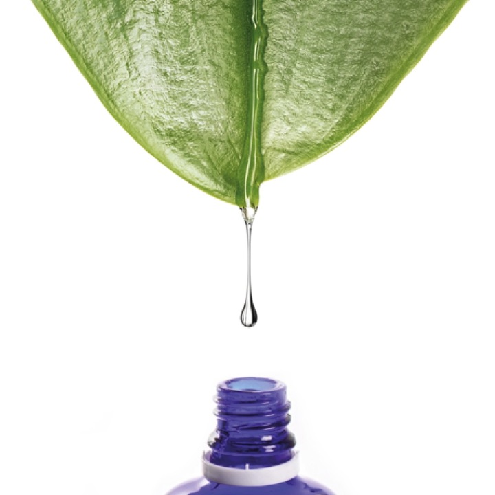 OMEGA 3 W PŁYNIE olej lniany i witamina E Suplement Diety NUION 50ml