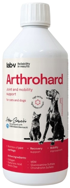 ArthroHard kwas hialuronowy MSM syrop na stawy dla psa i kota 500ml