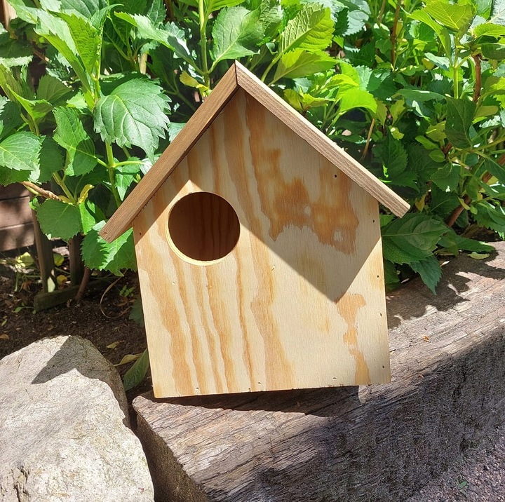 Budka domek dla wiewiórek