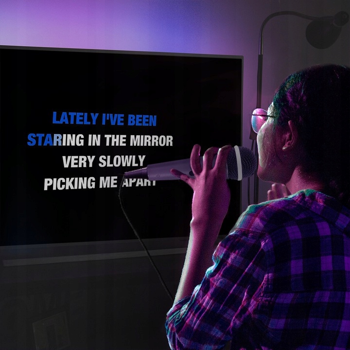 Zestaw KARAOKE głośnik bluetooth CD+G/2 mikrofony