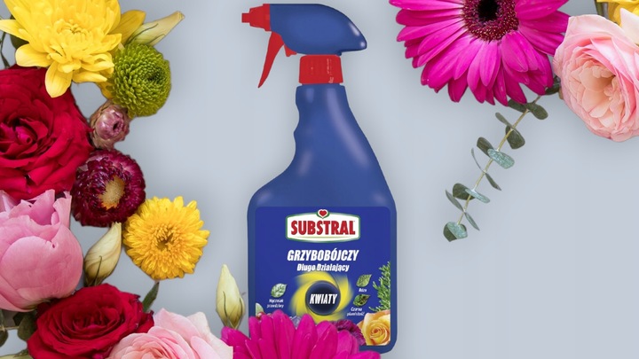 SAPROL GRZYBOBÓJCZY środek KWIATY: ZWALCZA CHRONI