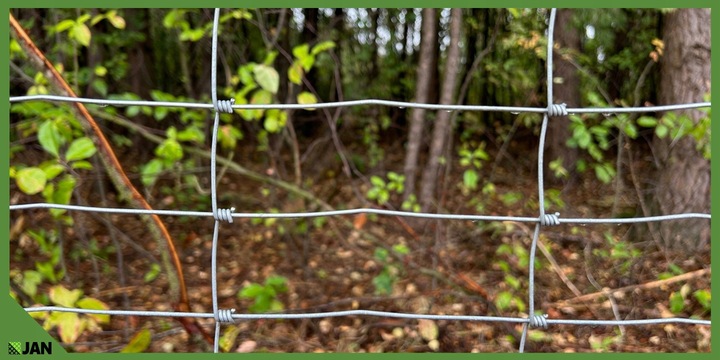 SIATKA LEŚNA 180cm ZAGĘSZCZONA 50m WIRE NET MODEL 180/24/15 L GRATIS GĘSTA