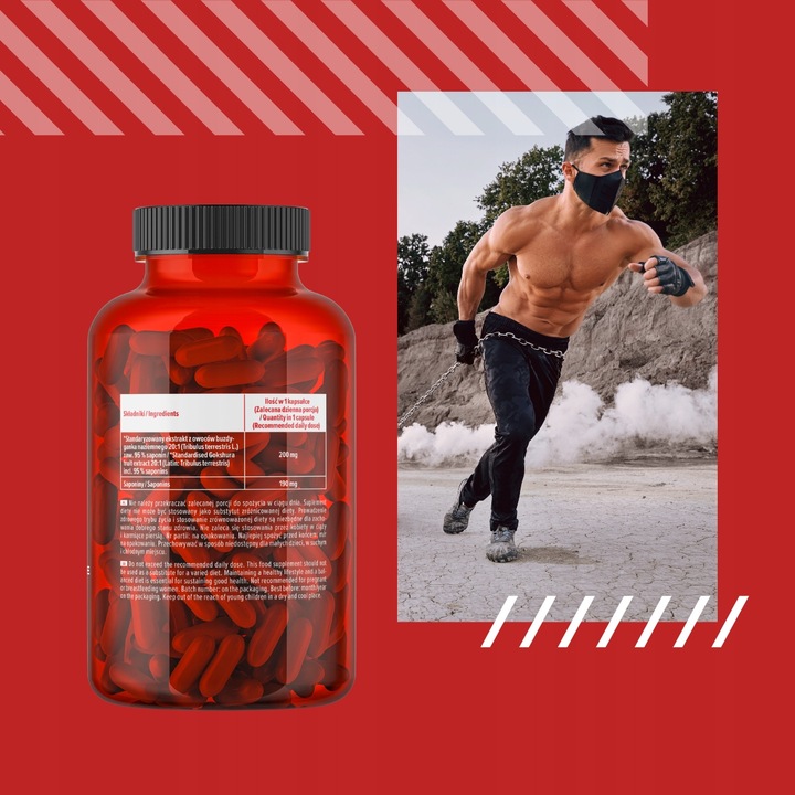 TRIBULUS TESTOSTERON TERRESTRIS BUZDYGANEK TESTO LIBIDO 100 MUSCLE POWER