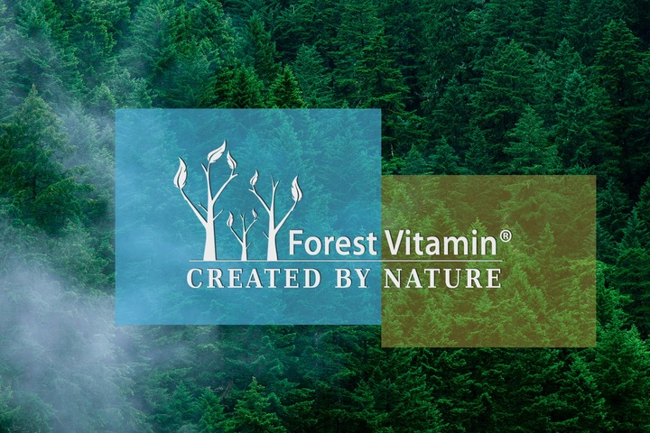 Kwas Hialuronowy W PROSZKU 50g ZDROWE STAWY SKÓRA KOŚCI ZMARSZCZKI