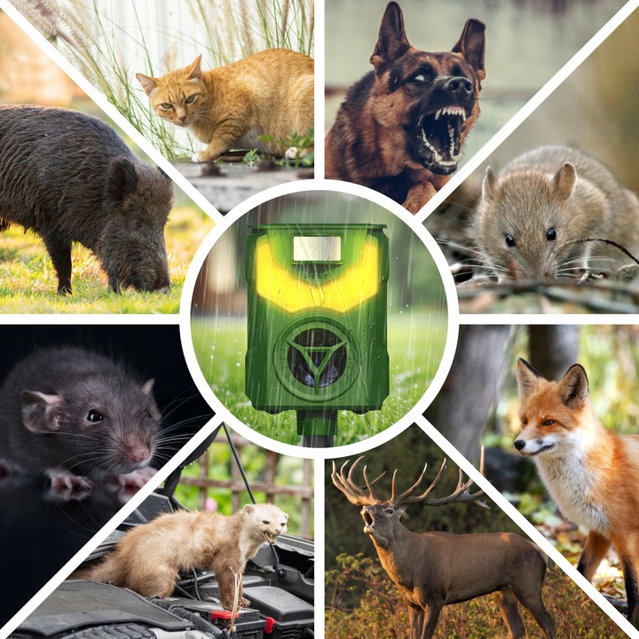 ULTRADŹWIĘKOWY ODSTRASZACZ PSÓW KOTÓW KUN LISÓW DZIKÓW SAREN JELENI NO PEST