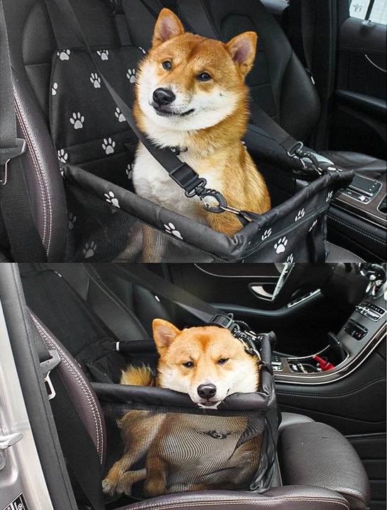 FOTELIK samochodowy dla PSA KOTA Duży TRANSPORTER do auta Na Siedzenie Mata