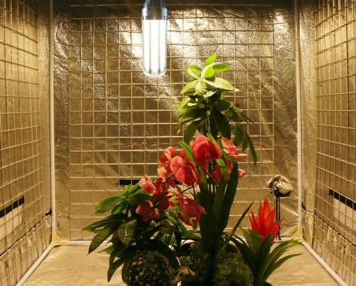 ŻARÓWKA DO ROŚLIN LED GROW CORN FULL SPECTRUM 50W