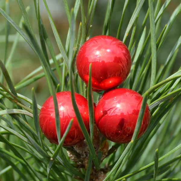 Bombki szklane drucik czerwień świąteczna 2cm/ 144