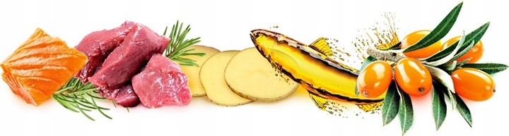 BRIT CARE Dog Grain-free Junior Large Breed Salmon 12kg