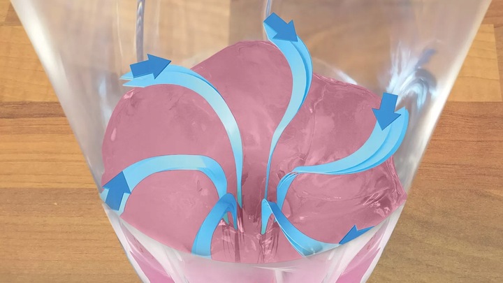 Blender kielichowy Bosch MMB2111T 450W Stalowe ostrze Butelka ToGo Sportowy