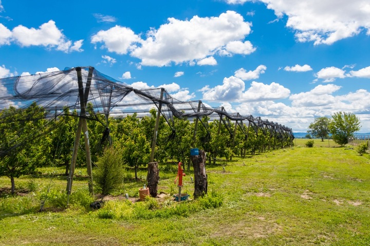 MOCNA SIATKA na PTAKI szpaki na BALKON DRZEWKA 10x10 m GRUBY SPLOT 20G