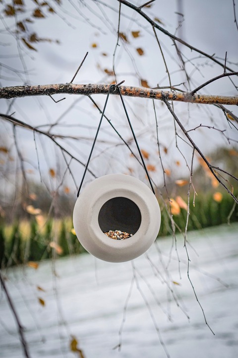 NOWOCZESNY KARMNIK DLA PTAKÓW ZIMUJĄCYCH LISA + POKARM KARMA ZIARNO 1KG