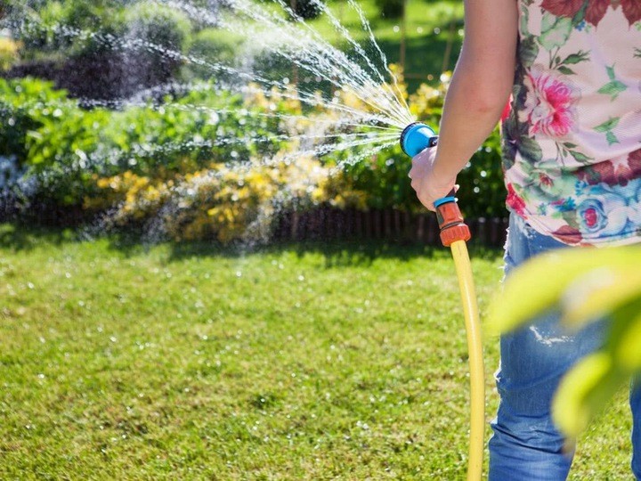 Nawóz do trawy SZYBKI EFEKT 10 kg Florovit