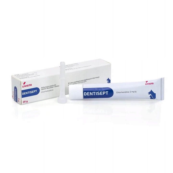 DENTIHEX 20 G Z APLIKATOREM pasta do zębów dla psów i kotów