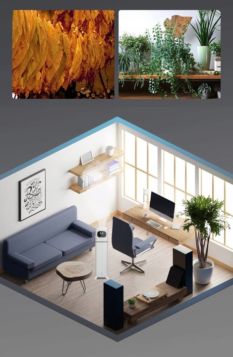 NAWILŻACZ POWIETRZA ULTRADŹWIĘKOWY DUŻY JONIZATOR 2w1 DYFUZOR Z PILOTEM 8L