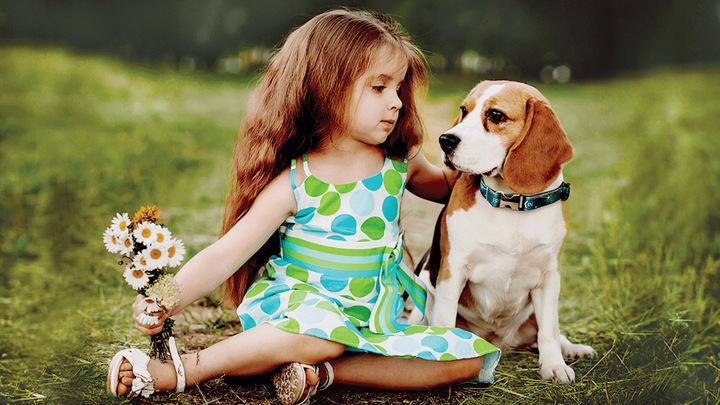 FREXIN OBROŻA NA PCHŁY I KLESZCZE DLA PSA PSÓW ŚREDNIE RASY REGULOWANA 55cm